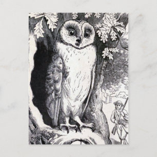 Postal ilustracion vintage "Owl"