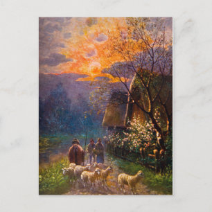 Postal Ilustracion Vintage, Pastoreo De Ovejas De Noche