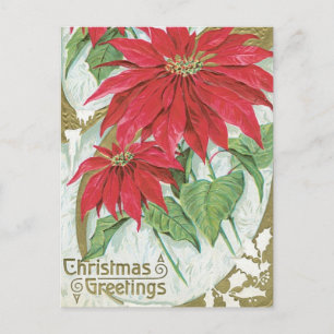 Postal Ilustracion Vintage Poinsettia