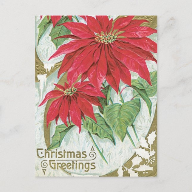 Postal Ilustracion Vintage Poinsettia (Anverso)