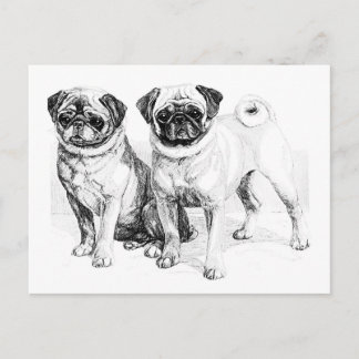 Postal Ilustracion Vintage Pug