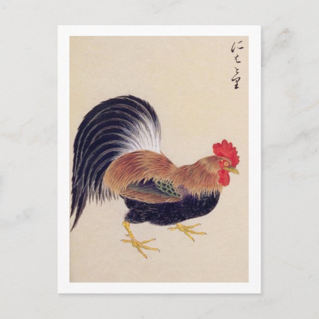 Postal Ilustracion vintage: Rooster (Anverso)
