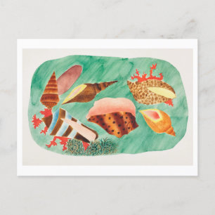 Postal Ilustracion Vintage Seashell