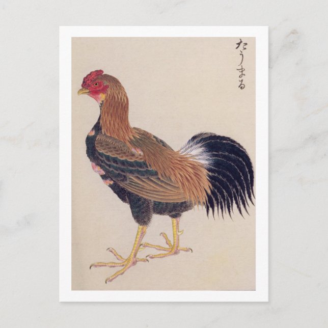Postal Ilustracion vintage: Tomaru (Anverso)