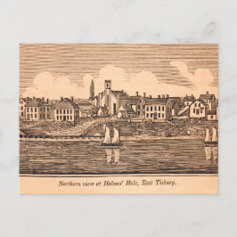 Postal Ilustracion vitícola de Martha en Tisbury