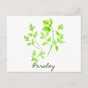 Postal Ilustracion Watercolor Herb Parsley