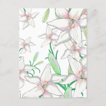 Ilustracion White Lilies
