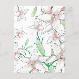 Postal Ilustracion White Lilies