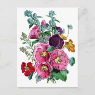 Postal Ilustraciones botánicos de época Hollyhocks