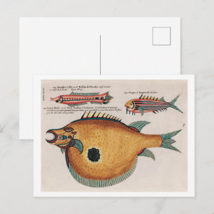 Postal Ilustraciones coloridas y surrealistas de peces