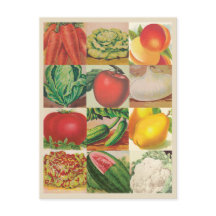 Ilustraciones de frutas y hortalizas de cosecha pr