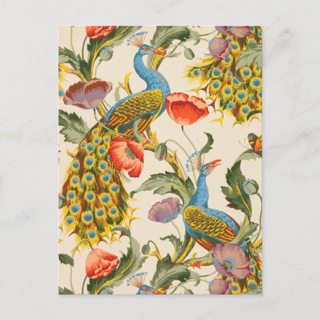 Postal Ilustraciones de pavo real y cachorros (Anverso)