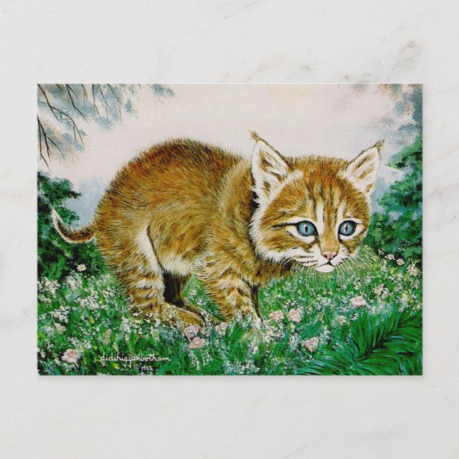 Postal Ima Bobkitty (Anverso)