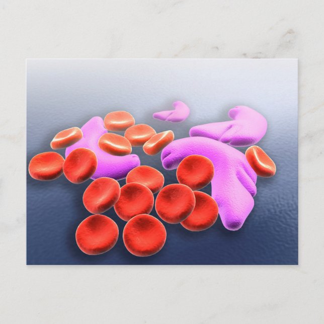 Postal Imagen conceptual de anemia falciforme (Anverso)