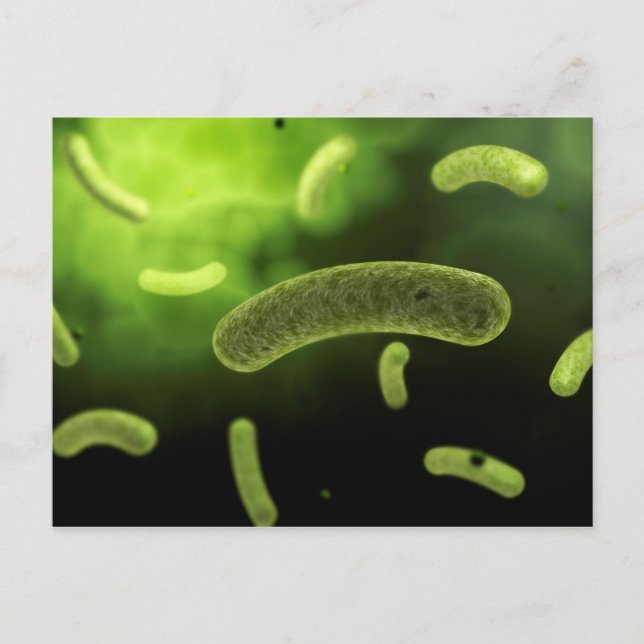 Postal Imagen Conceptual De Bacterias Comunes (Anverso)