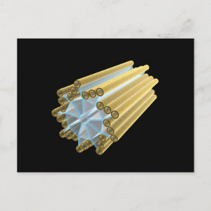 Postal Imagen Conceptual De Centriole