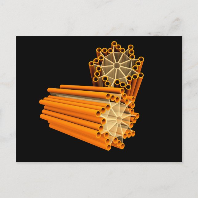 Postal Imagen Conceptual De Centrioles 1 (Anverso)