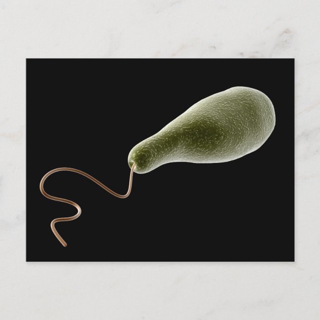 Postal Imagen Conceptual De Euglena 2 (Anverso)