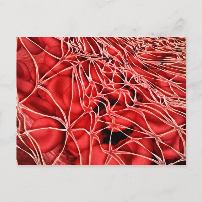 Postal Imagen Conceptual De Glóbulos Rojos Con Fibrina (Anverso)