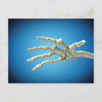 Imagen Conceptual De Huesos En La Mano Humana 1
