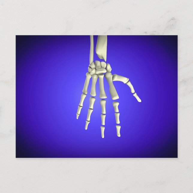 Postal Imagen Conceptual De Huesos En La Mano Humana 2 (Anverso)