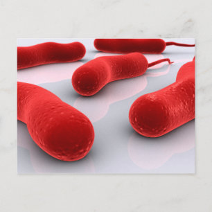 Postal Imagen Conceptual De La Bacteria Cholerae
