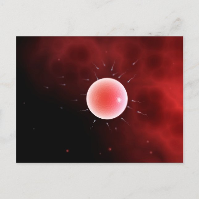 Postal Imagen Conceptual De La Fertilización Común (Anverso)