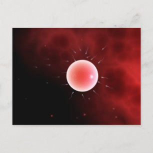Postal Imagen Conceptual De La Fertilización Común