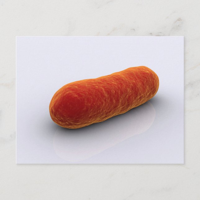 Postal Imagen Conceptual De Las Bacterias 4 (Anverso)