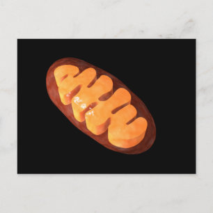 Postal Imagen Conceptual De Mitochondria 1