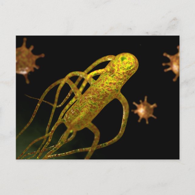 Postal Imagen Conceptual De Salmonella Typhi 1 (Anverso)