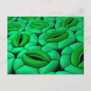 Postal Imagen Conceptual De Stomata 1