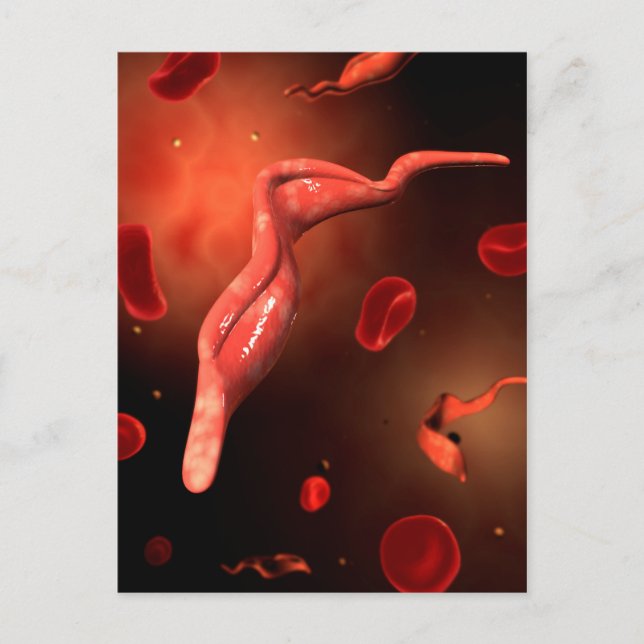Postal Imagen Conceptual De Trypanosoma 1 (Anverso)