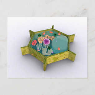 Postal Imagen Conceptual De Una Célula Vegetal