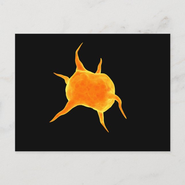 Postal Imagen Conceptual De Una Plaqueta (Anverso)