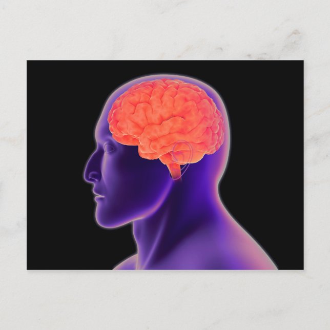 Postal Imagen conceptual del cerebro humano 1 (Anverso)