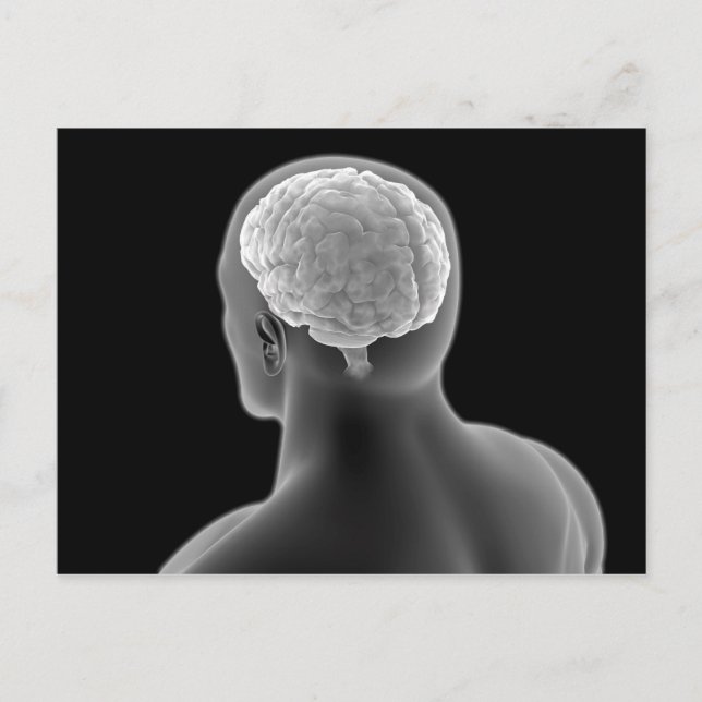 Postal Imagen conceptual del cerebro humano 2 (Anverso)