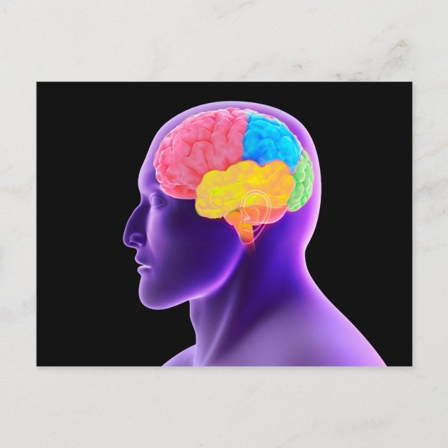 Postal Imagen conceptual del cerebro humano 7 (Anverso)