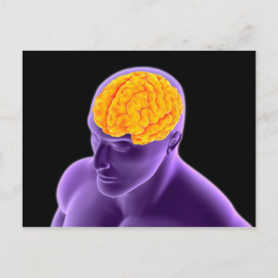 Postal Imagen conceptual del cerebro humano 8
