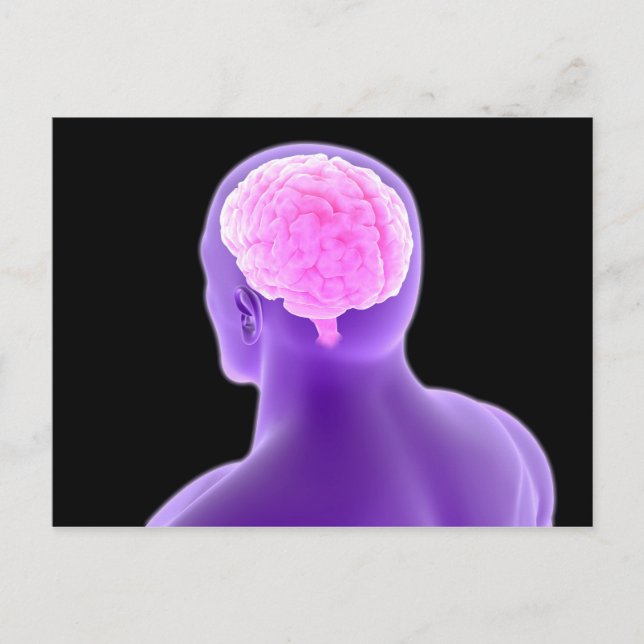 Postal Imagen Conceptual Del Cerebro Humano 9 (Anverso)