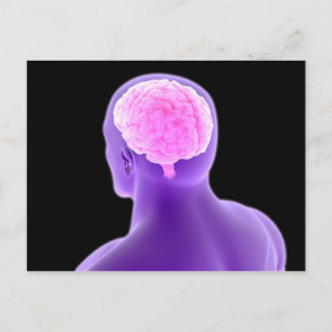 Postal Imagen Conceptual Del Cerebro Humano 9