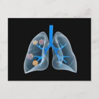 Imagen Conceptual Del Corazón Humano 4