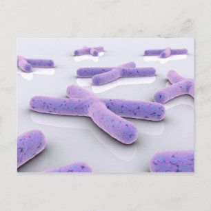 Postal Imagen Conceptual Del Cromosoma 4