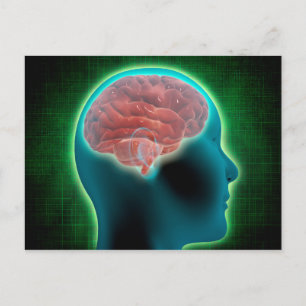 Postal Imagen Conceptual Del Cuerpo Femenino Con Cerebro