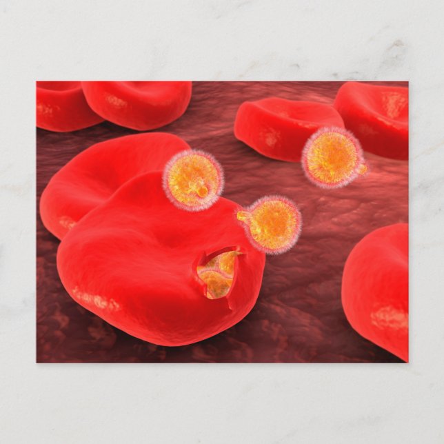 Postal Imagen Conceptual Del Paramecio 2 (Anverso)