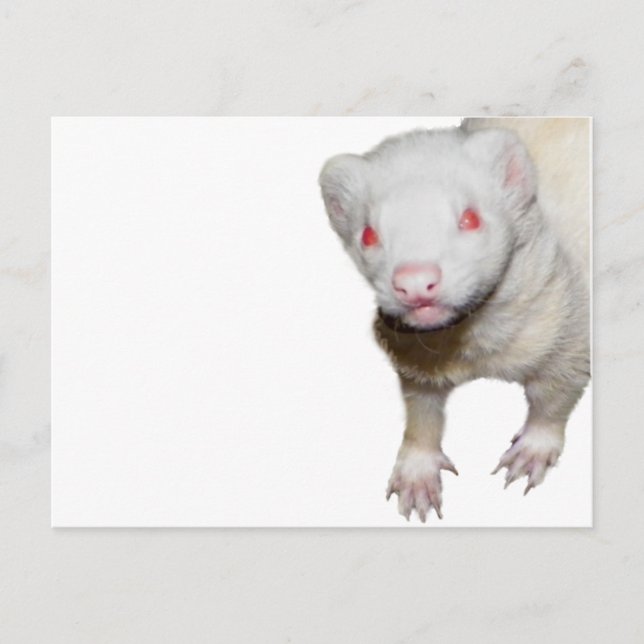 Postal Imagen de Albino Ferret (Anverso)