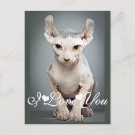 Postal Imagen de Elf Sphinx Cat Te Amo