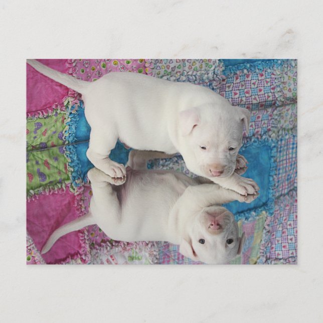 Postal Imagen de espejo (Anverso)