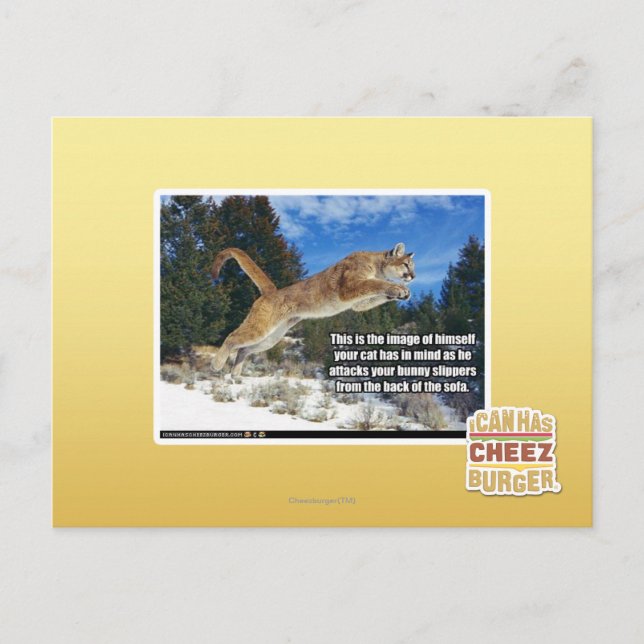 Postal Imagen de gato (Anverso)