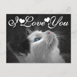 Postal Imagen de gato de ojos azules que te amo